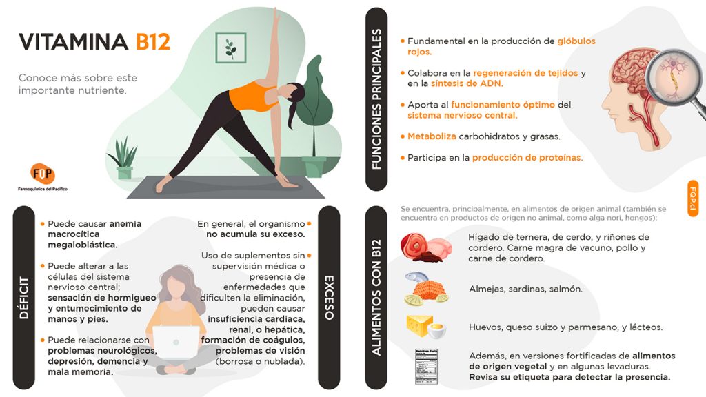 vitamina b12 infografia